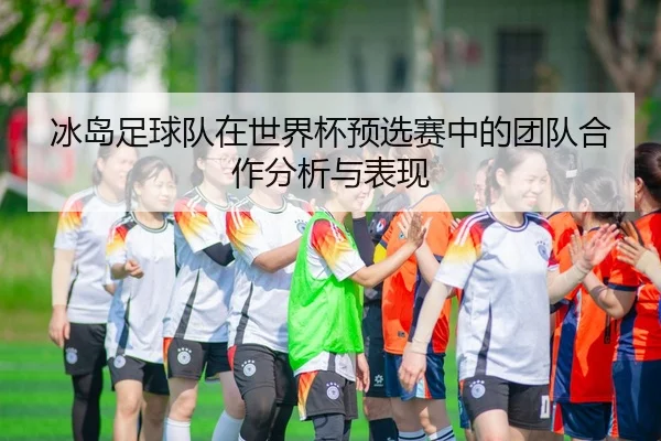 冰岛足球队在世界杯预选赛中的团队合作分析与表现