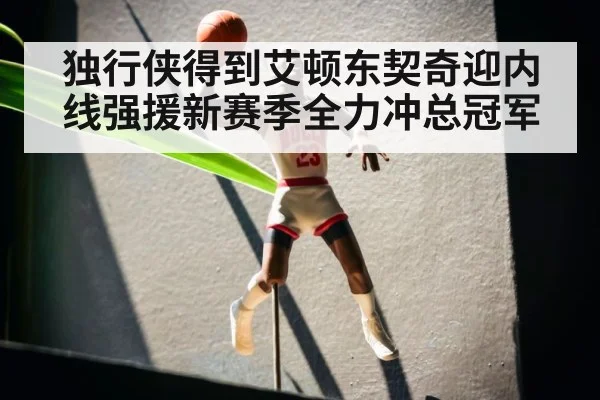 独行侠得到艾顿东契奇迎内线强援新赛季全力冲总冠军