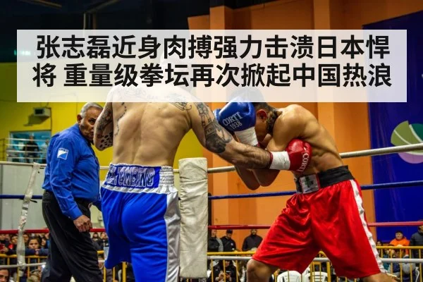 张志磊近身肉搏强力击溃日本悍将 重量级拳坛再次掀起中国热浪